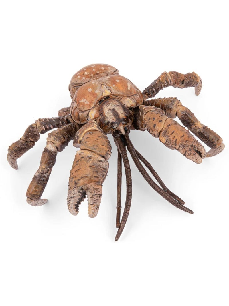Figurine crabe des cocotiers Marron - Kiabi