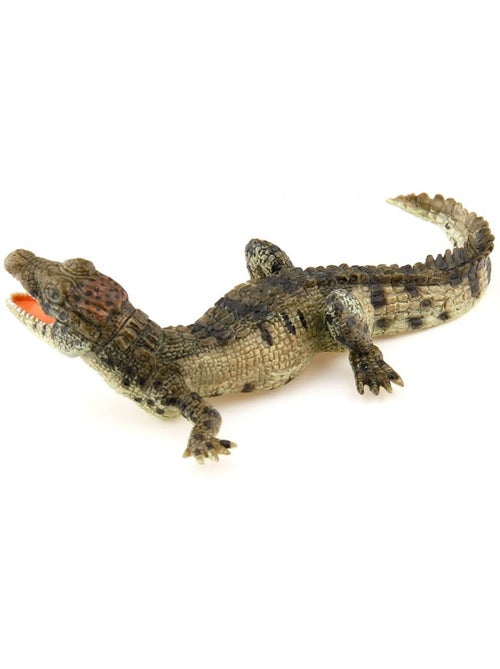Figurine Crocodile : Bébé - Kiabi