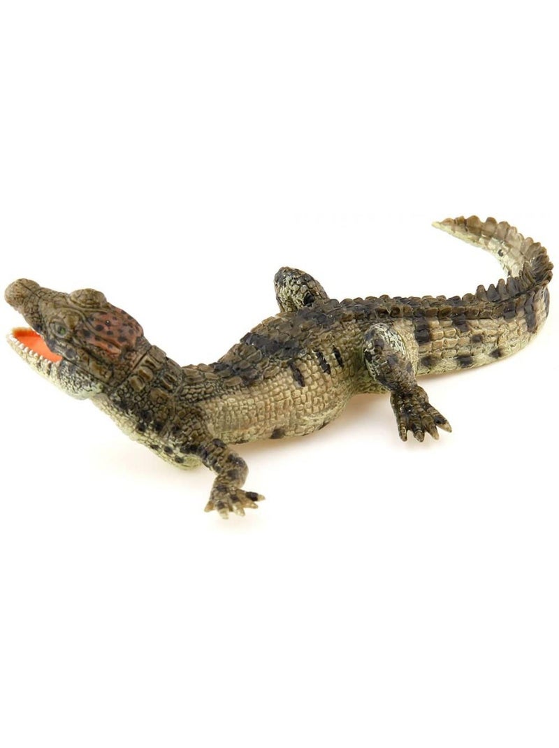 Figurine Crocodile : Bébé Beige - Kiabi