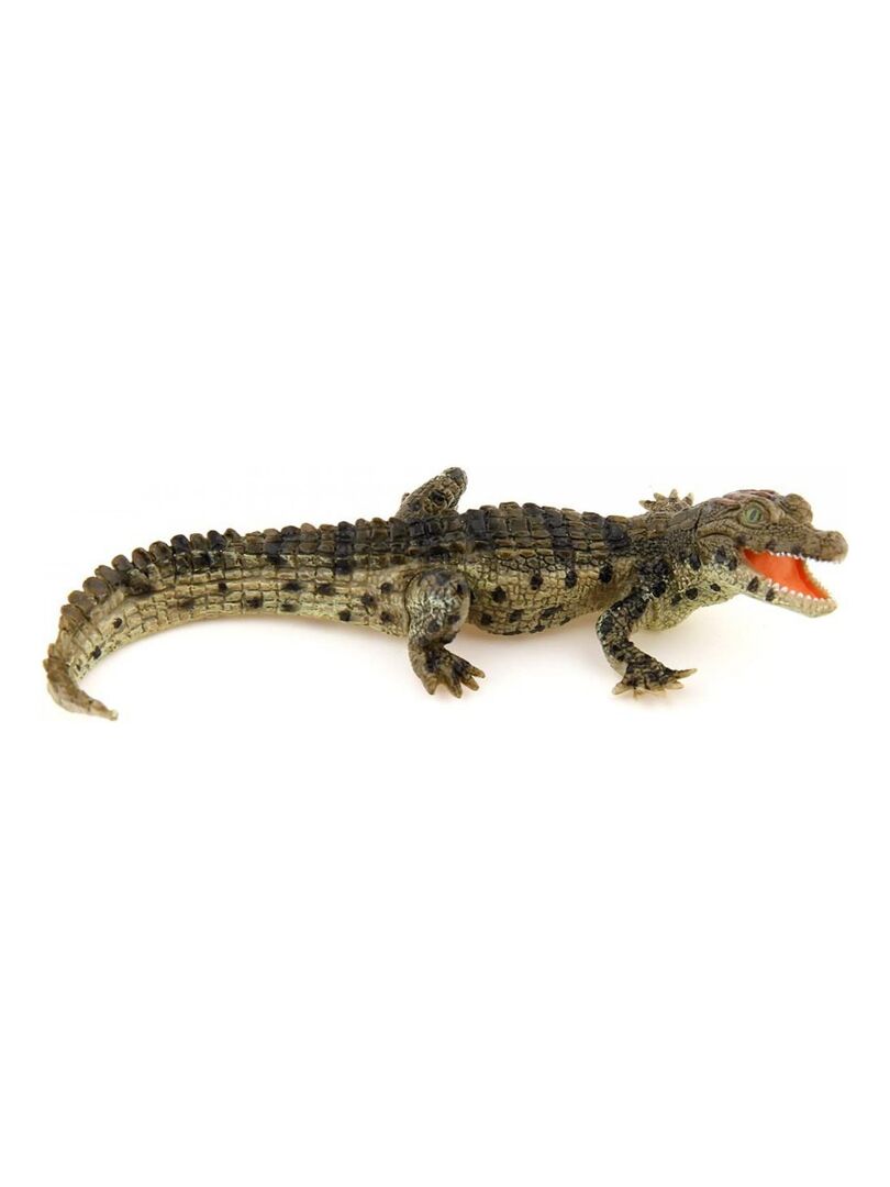Figurine Crocodile : Bébé N/A - Kiabi