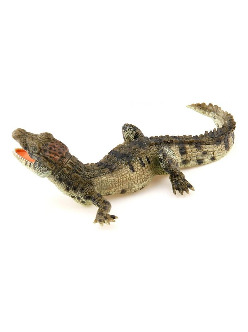 Figurine Crocodile : Bébé N/A - Kiabi