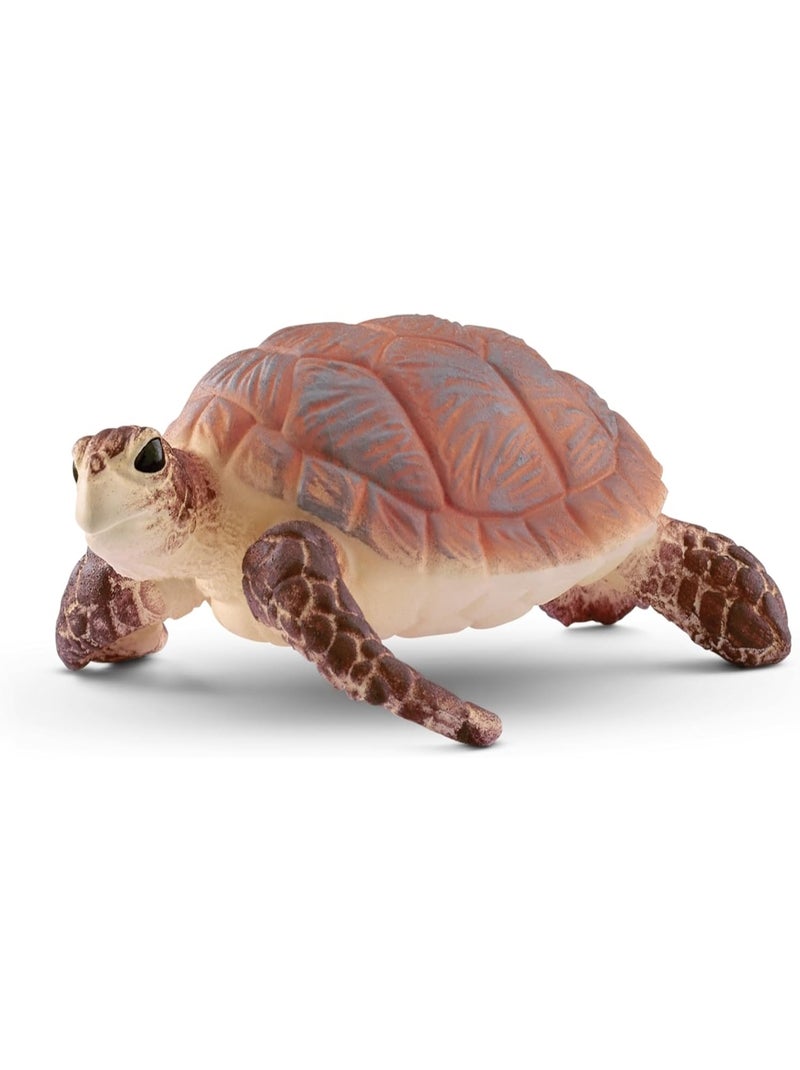 Figurine de tortue Marron - Kiabi