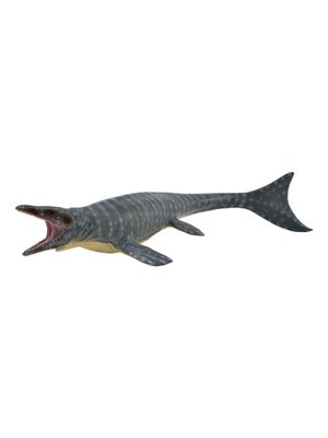 Cornet De Rentrée Scolaire Dinosaure Mosasaurus - 50 Cm, Rond, Fermeture En Tulle Turquoise - Cadeau Pour Enfant, Première Rentrée