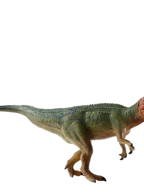 Figurine Dinosaure : Museum Line : Giganotosaurus - Kiabi