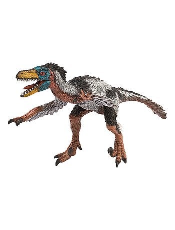 Figurine Dinosaure : Museum Line : Velociraptor - Kiabi