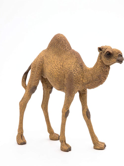 Figurine Dromadaire - Kiabi