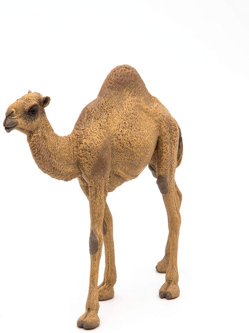 Figurine Dromadaire - Kiabi