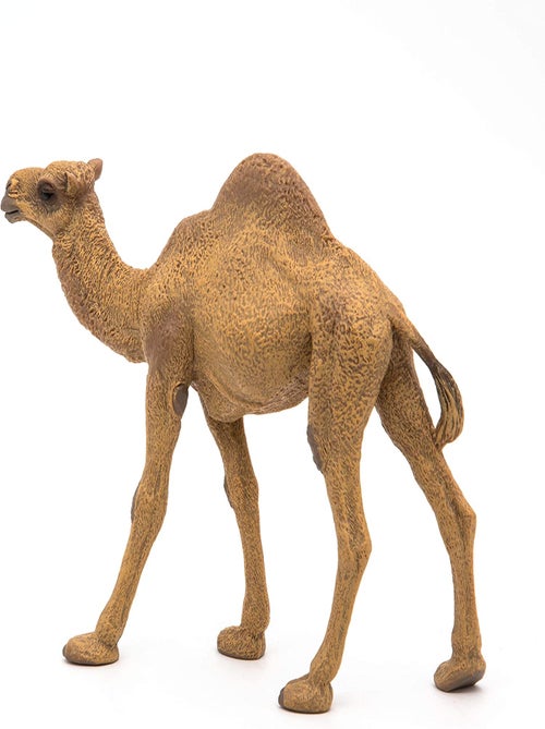 Figurine Dromadaire - Kiabi