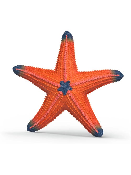 Figurine Etoile de mer changeant de couleur - Kiabi