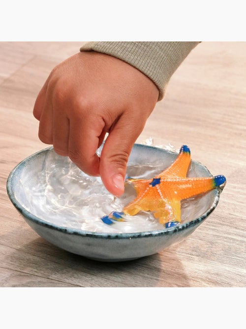 Figurine Etoile de mer changeant de couleur - Kiabi