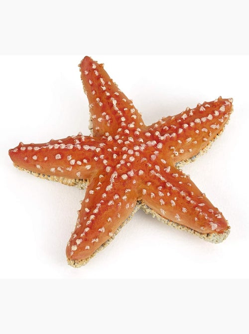 Figurine Etoile de mer - Kiabi