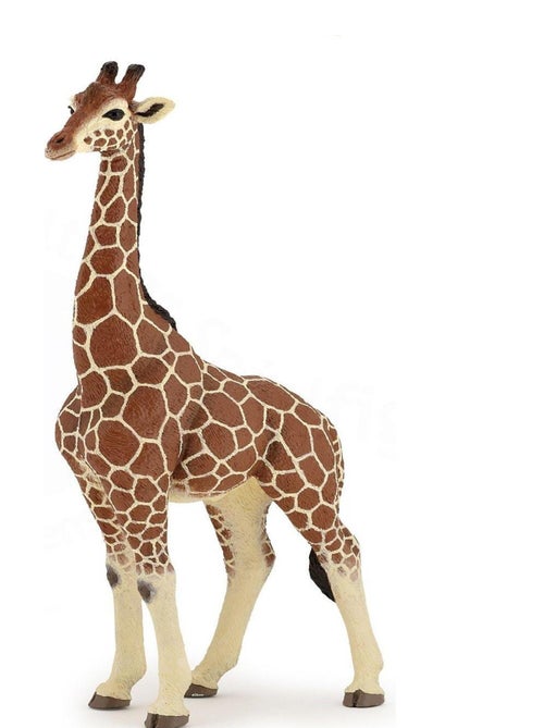 Figurine girafe mâle - Kiabi