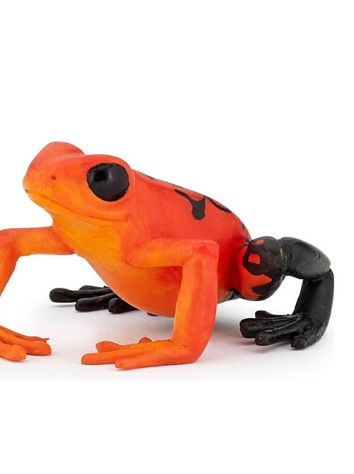 Figurine grenouille équatoriale - Kiabi