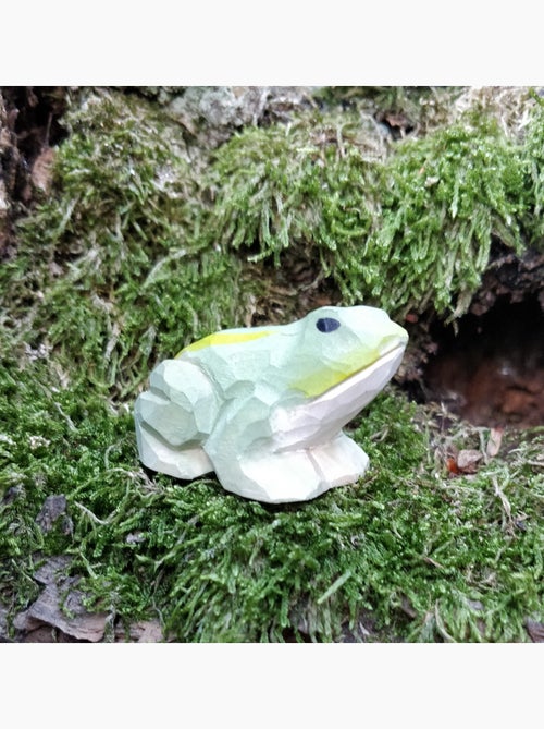 Figurine grenouille - Kiabi