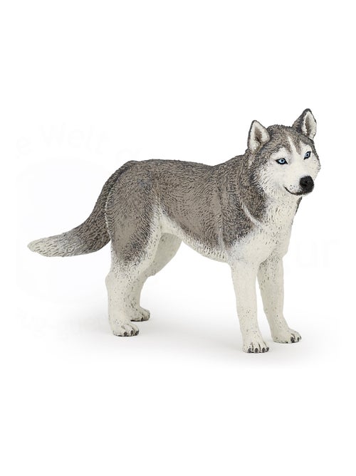 Figurine Husky de Sibérie - Kiabi
