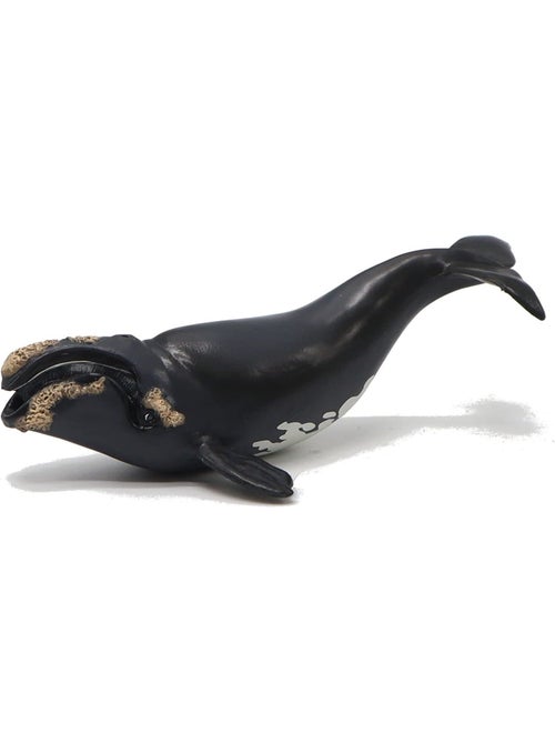 Figurine jeune baleine Franche - Kiabi
