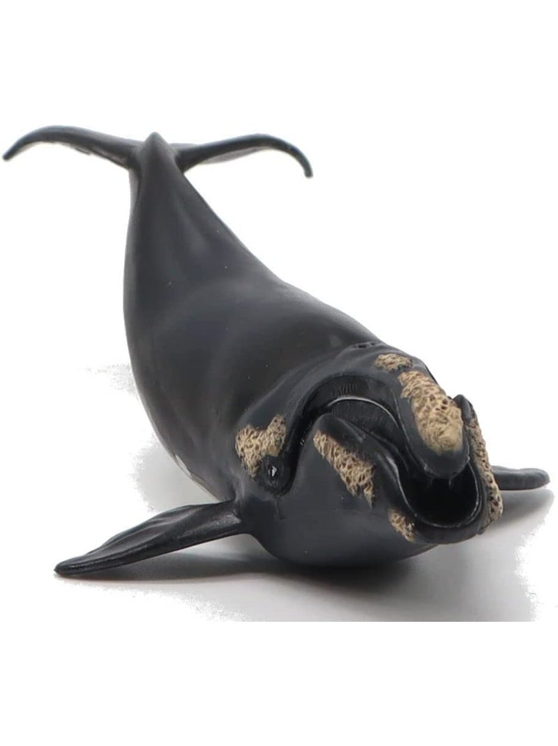 Figurine jeune baleine Franche Noir - Kiabi
