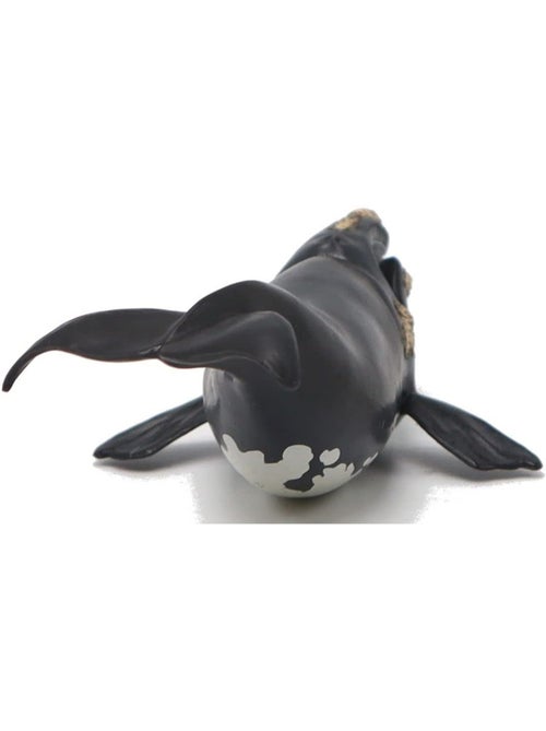 Figurine jeune baleine Franche - Kiabi