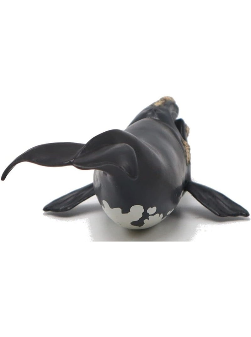 Figurine jeune baleine Franche Noir - Kiabi