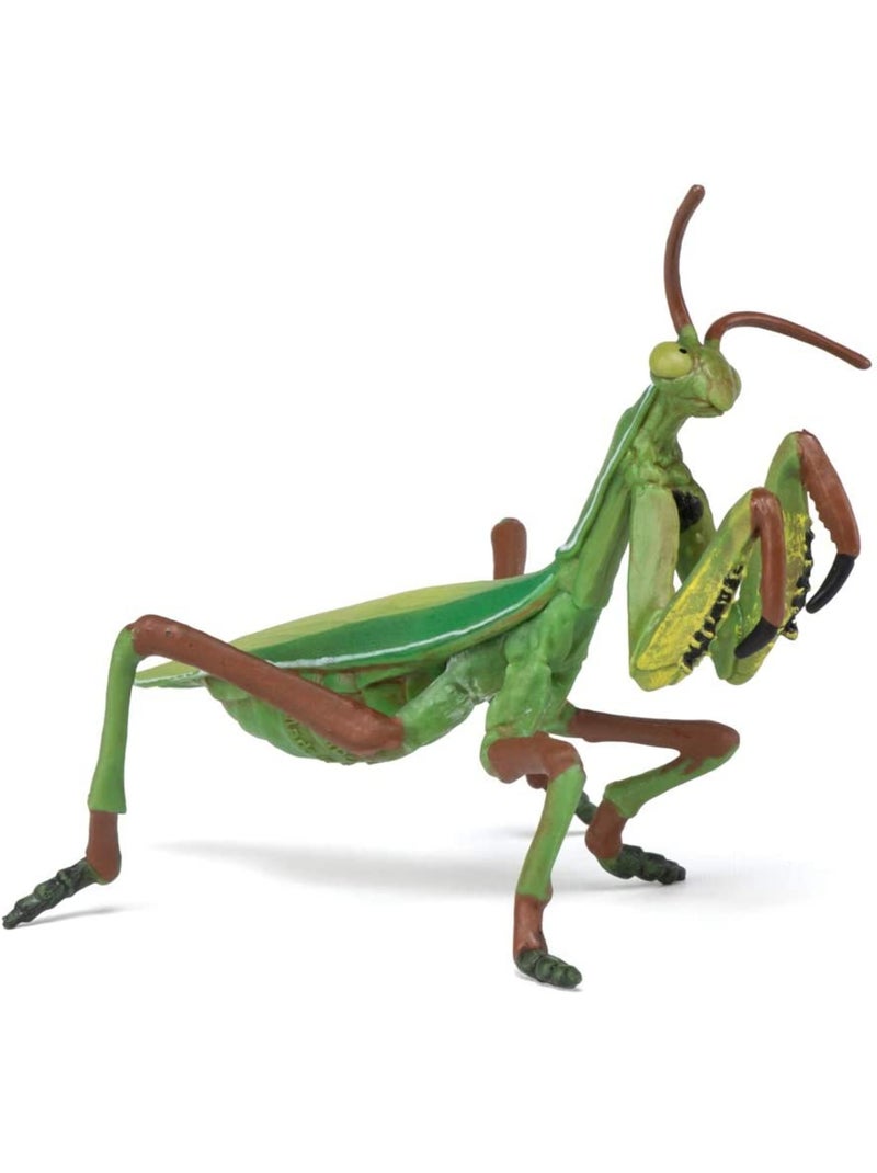 Figurine Mante religieuse Vert - Kiabi