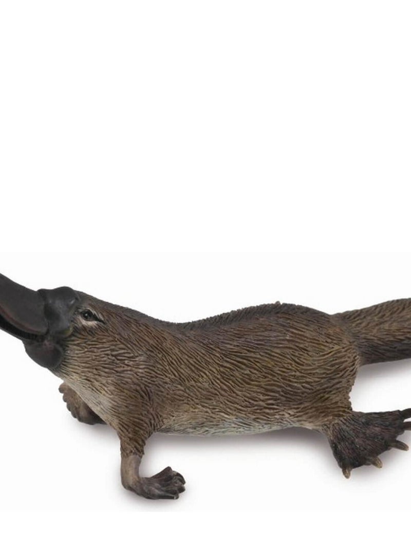 Figurine Ornithorynque N/A - Kiabi