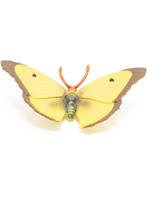 Figurine Papillon souci jaune - Kiabi