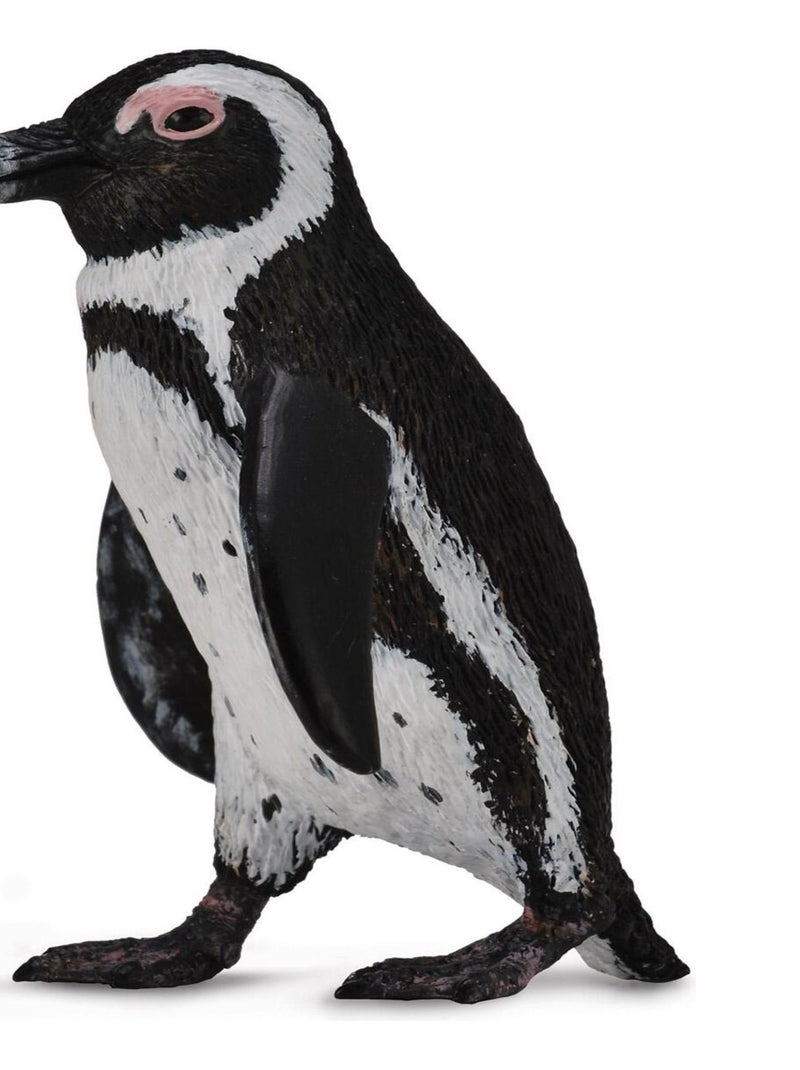 Figurine : Pingouin d'Afrique du Sud N/A - Kiabi