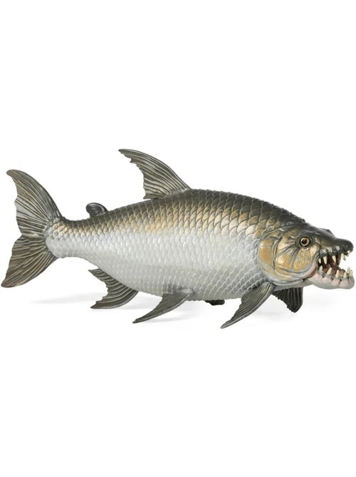 Figurine poisson tigre goliath - Kiabi Figurine poisson tigre goliath - Kiabi