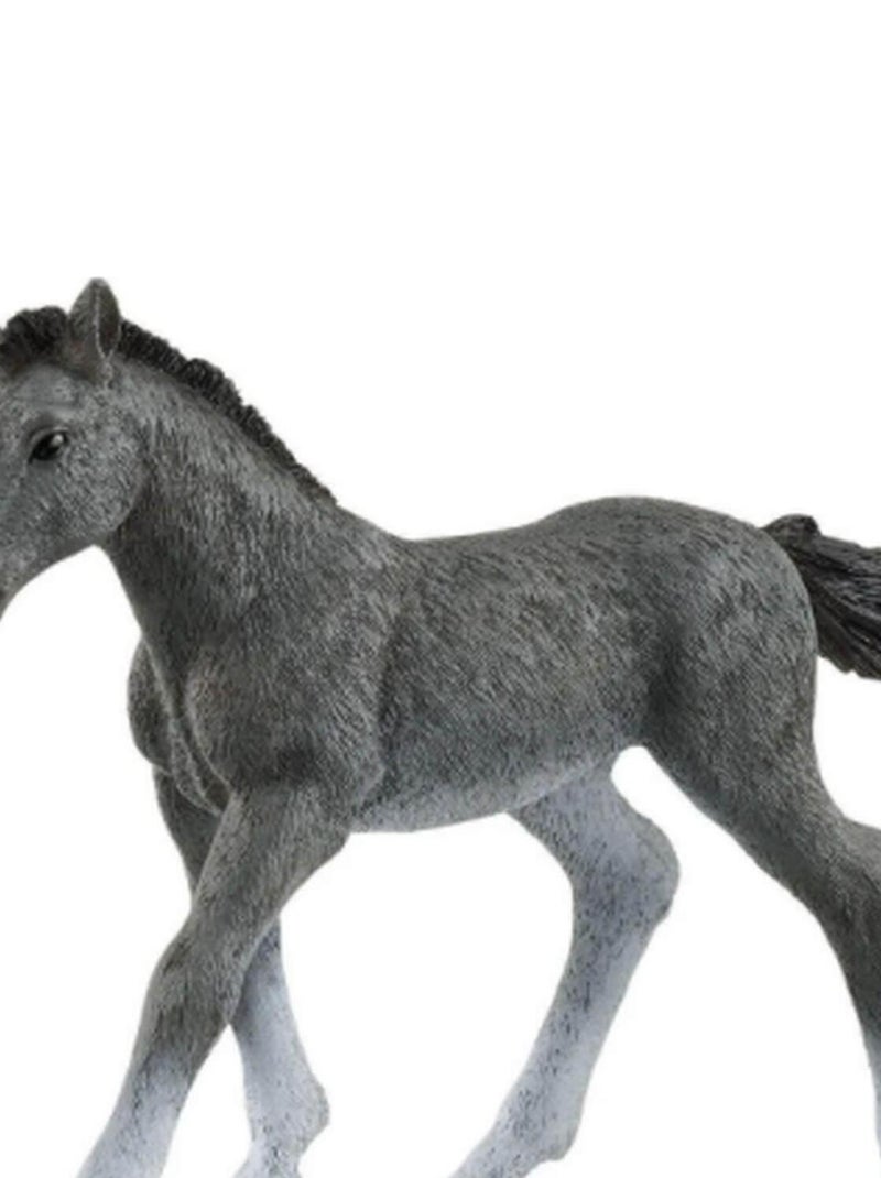 Figurine Poulain Trakehnen N/A - Kiabi