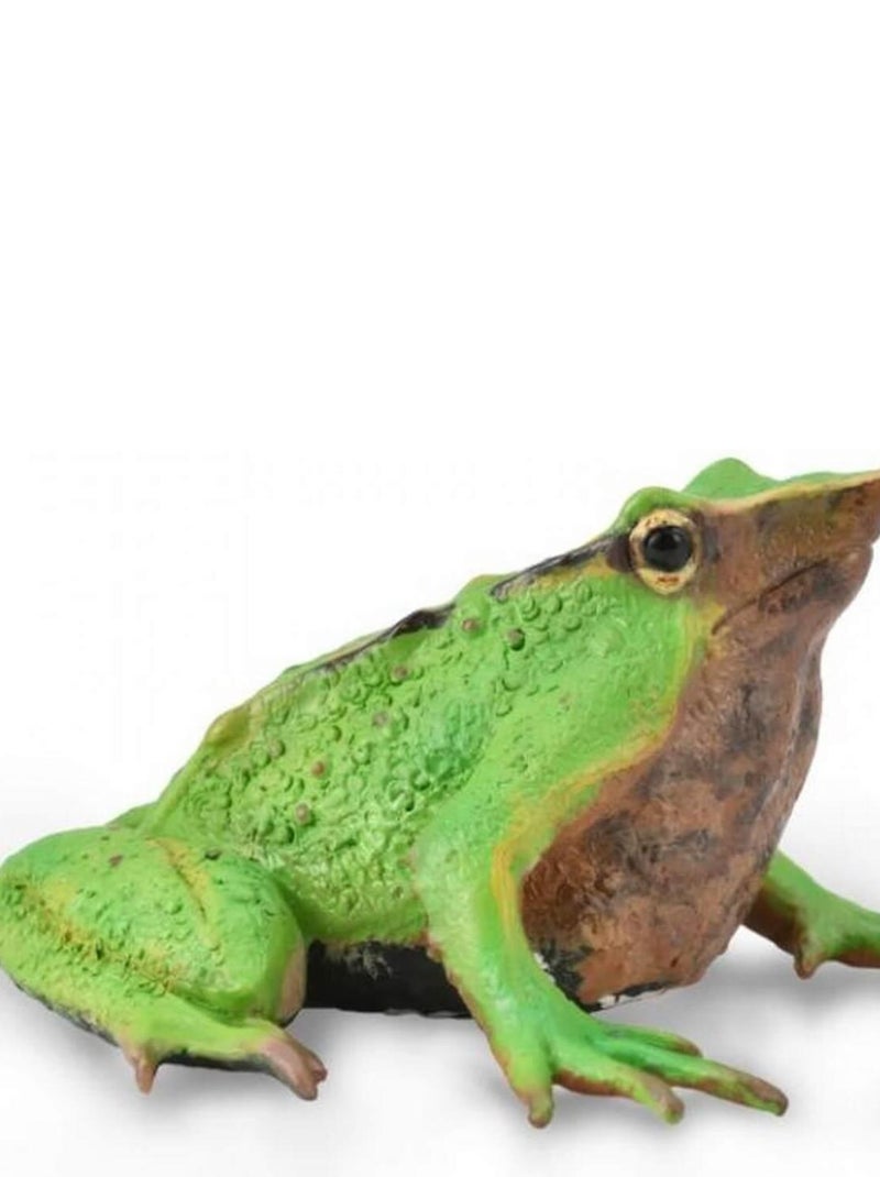 Figurine Préhistoire : Grenouille de Darwin N/A - Kiabi