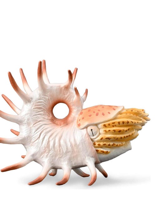Figurine Préhistoire (XL) : Cooperoceras - Kiabi