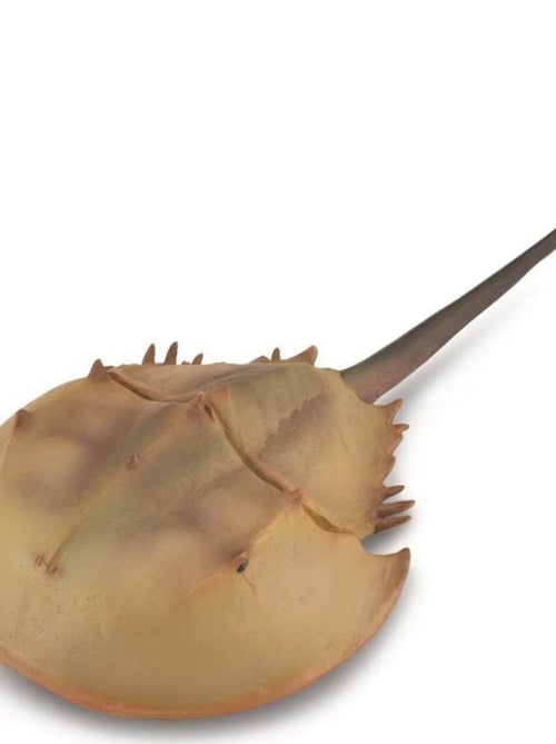 Figurine Préhistoire (Xl): Lumilidae (Horseshoe Crab) - Kiabi