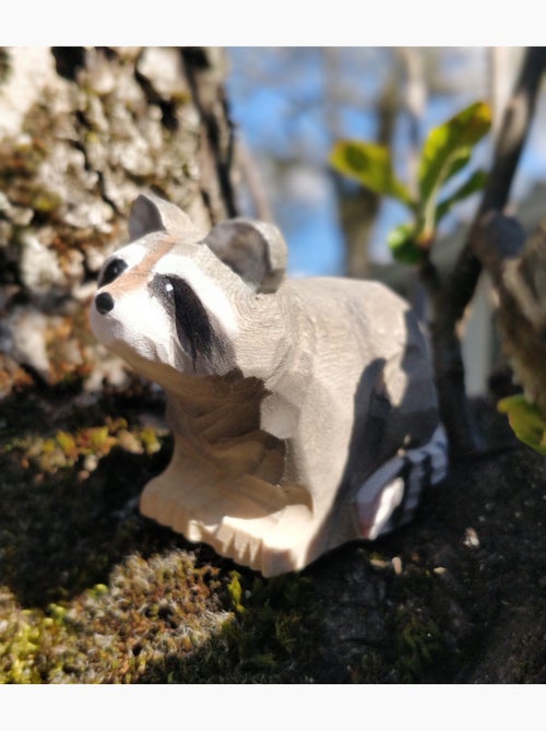 Figurine raton laveur - Kiabi