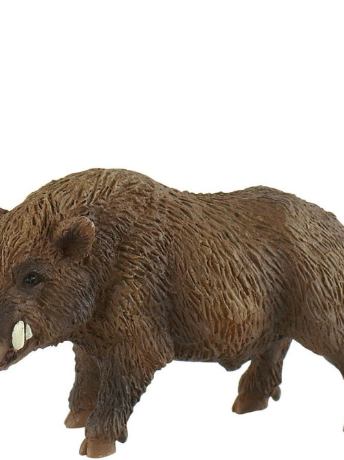 Figurine Sanglier : Mâle - Kiabi