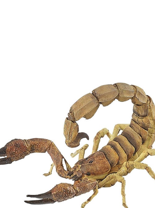 Figurine : Scorpion - Kiabi