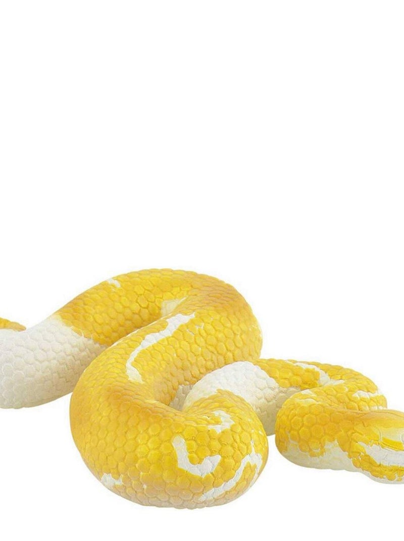 Figurine serpent Python royal albinos N/A - Kiabi