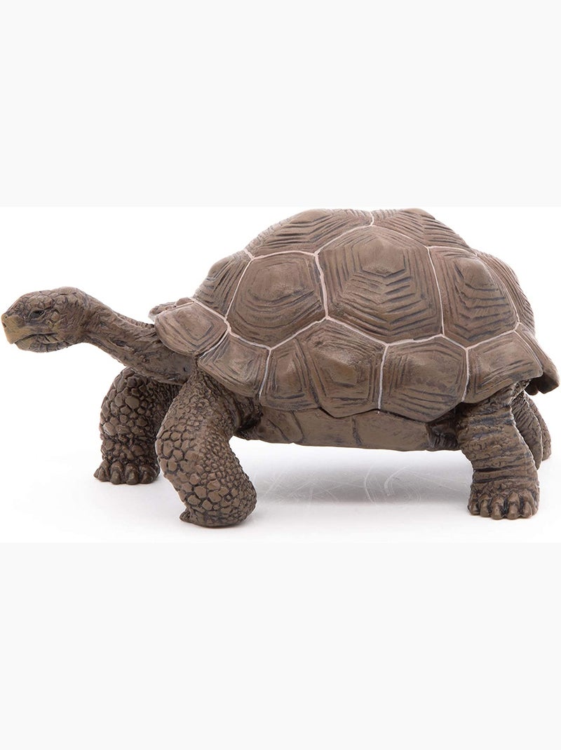 Figurine Tortue des galapagos Marron - Kiabi
