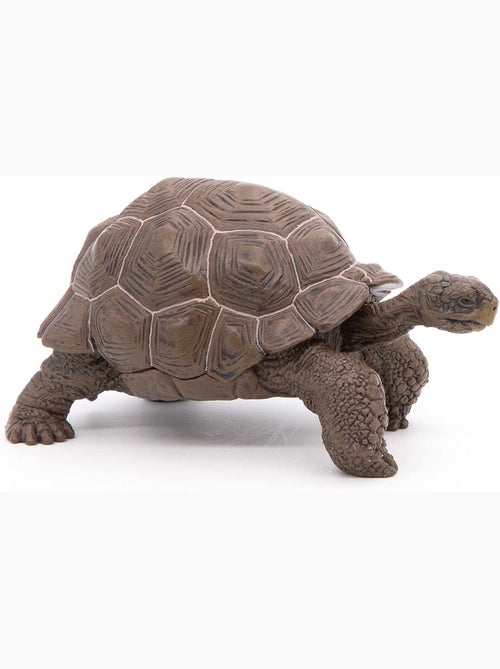 Figurine Tortue des galapagos - Kiabi
