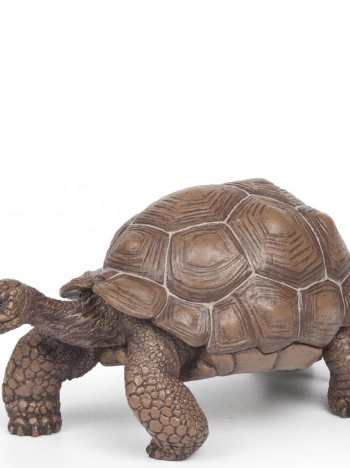 Figurine Tortue des Galapagos - Kiabi