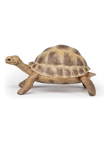 Figurine Tortue d'Hermann