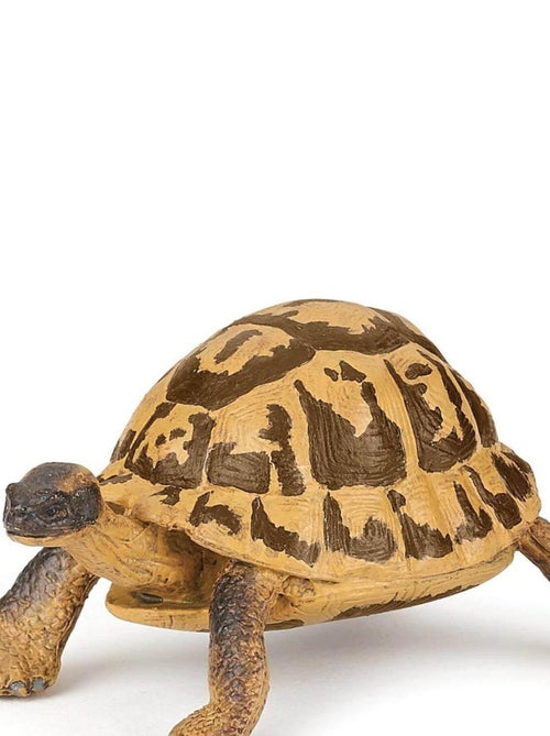 Figurine Tortue d'Hermann - Kiabi