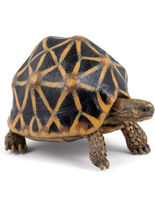 Figurine tortue étoilée - Kiabi