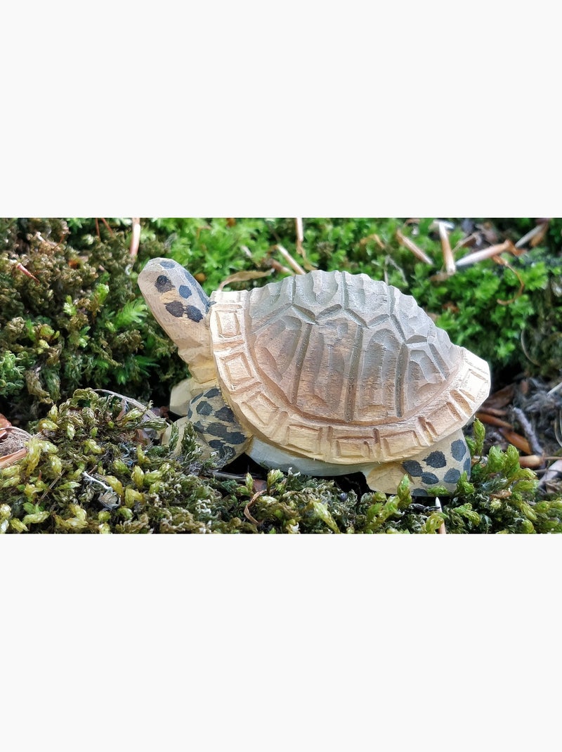 Figurine Tortue Marron - Kiabi
