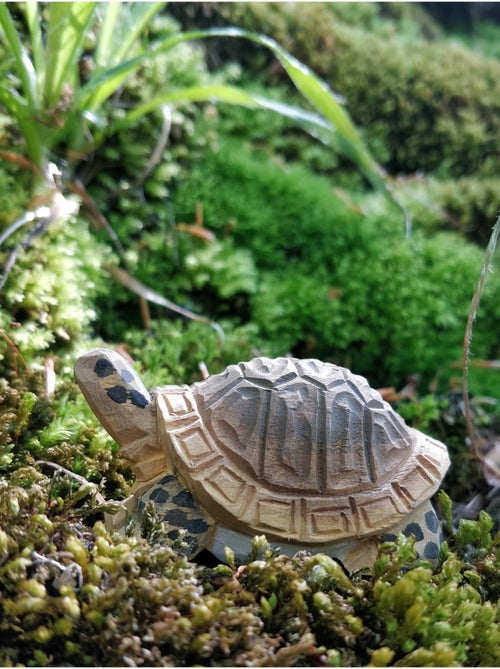 Figurine Tortue - Kiabi