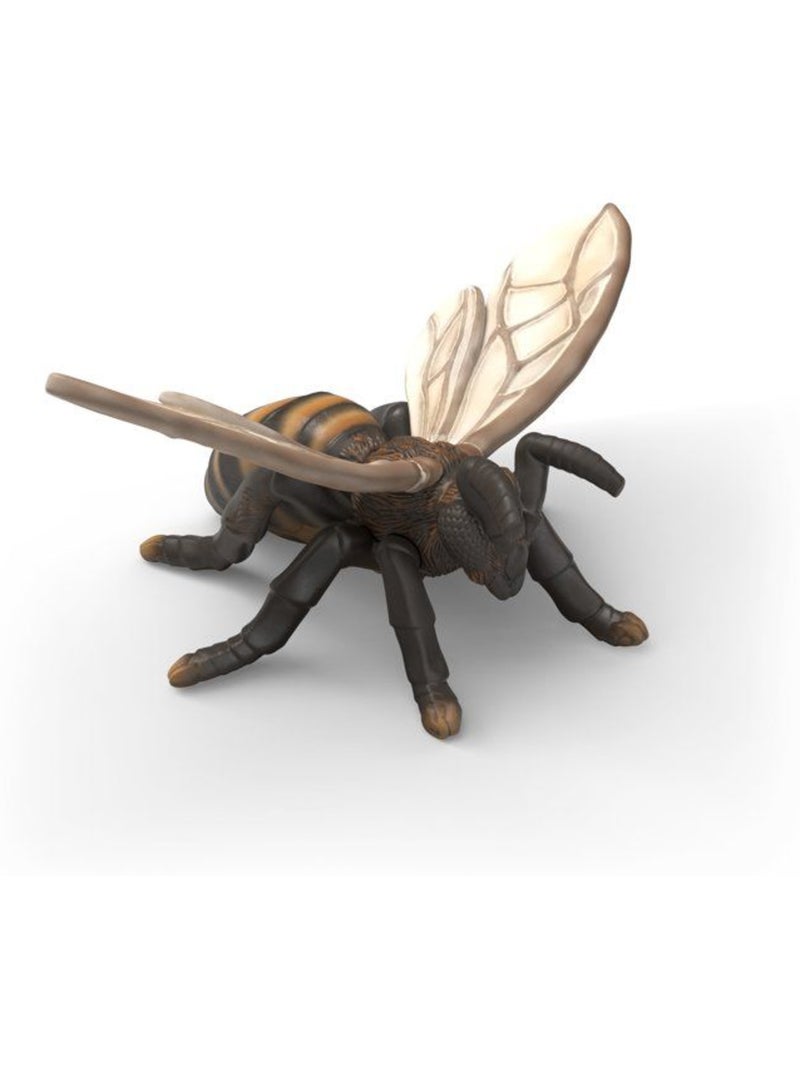 Figurines set découverte : les insectes - schleich 42741 - gamme wild life Noir - Kiabi