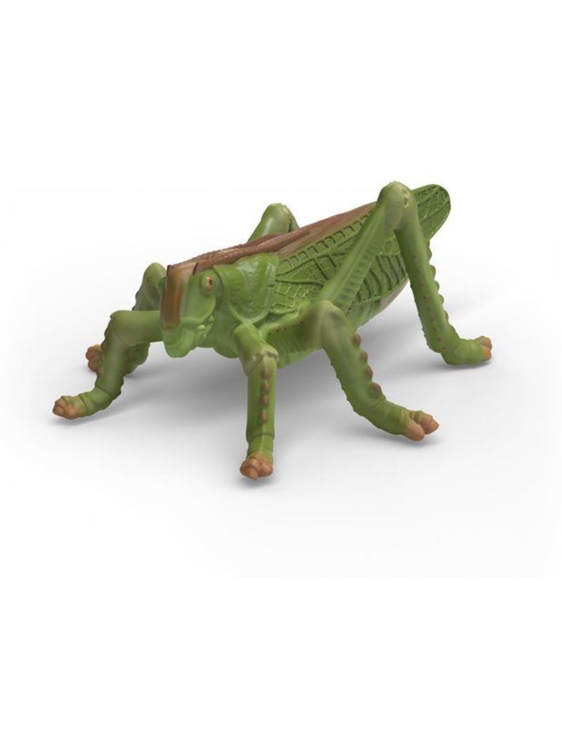 Figurines set découverte : les insectes - schleich 42741 - gamme wild life Noir - Kiabi