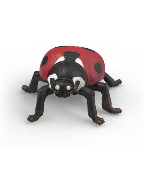 Figurines set découverte : les insectes - schleich 42741 - gamme wild life - Kiabi