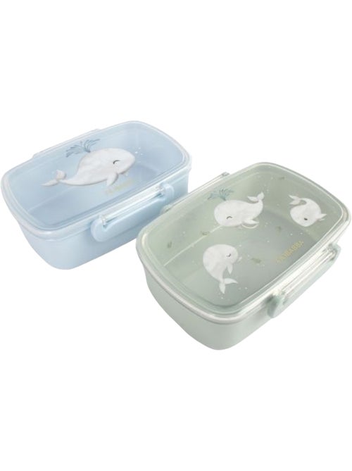 Filibabba - Lot de 2 lunch box - Kiabi Filibabba - Lot de 2 lunch box - Kiabi
