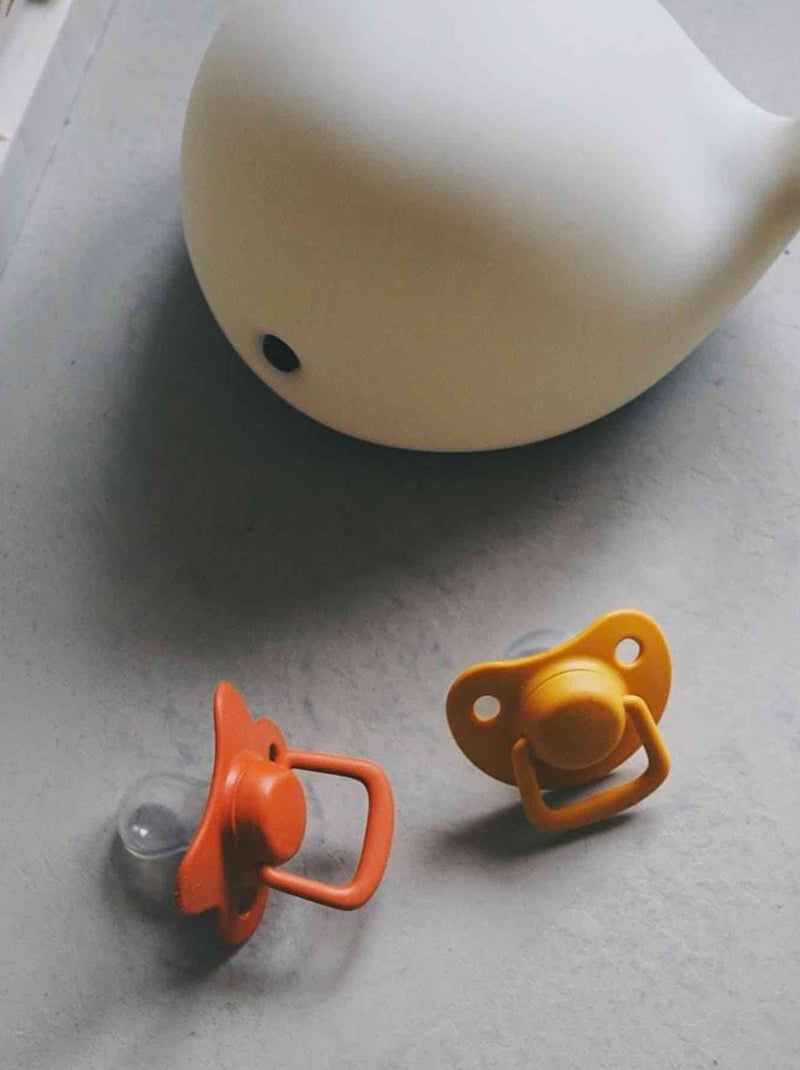 Filibabba | Lot de 2 sucettes anatomique en silicone 0-6m Marron - Kiabi