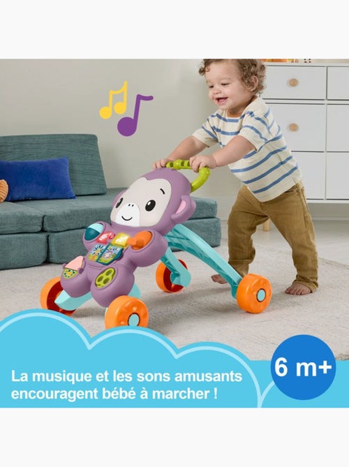 Fisher-price - mon trotteur singe violet - musique, lumières et activités - fisher-price - jgw90 - Kiabi